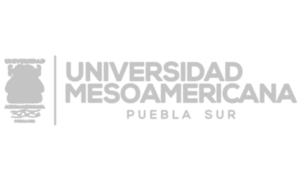 mesoamericanaa